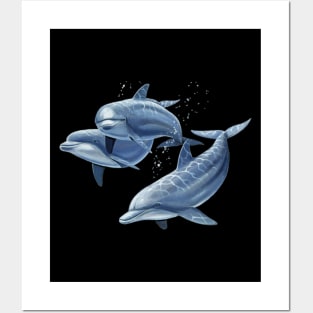 Dolphin Family Posters and Art